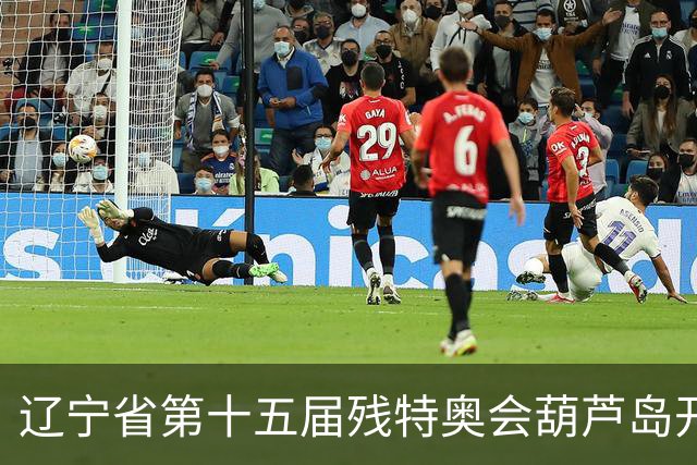 辽宁省第十五届残特奥会葫芦岛开赛 356名健儿参与角逐